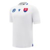 Maillot de Supporter Slovaquie Extérieur 2024-25 Pour Homme